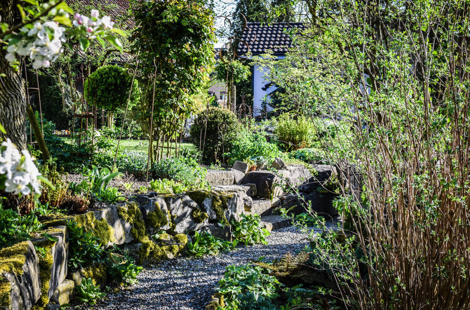 Naturgarten Bilder: Entdecke die Schönheit der Natur durch Zeichnen!